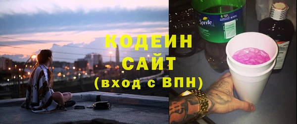 гашик Алексин