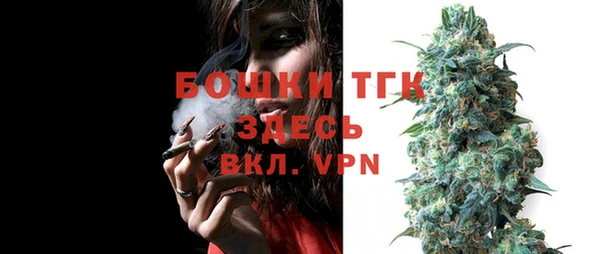 гашик Алексин