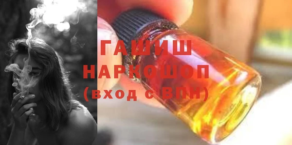 гашик Алексин
