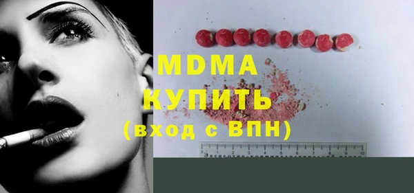 гашик Алексин