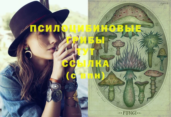 первитин Алексеевка