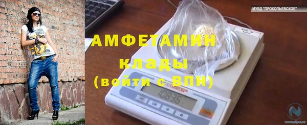 гашик Алексин
