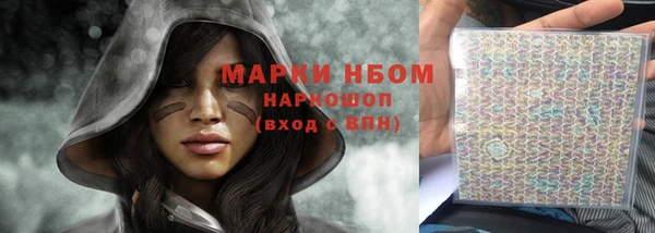 гашик Алексин