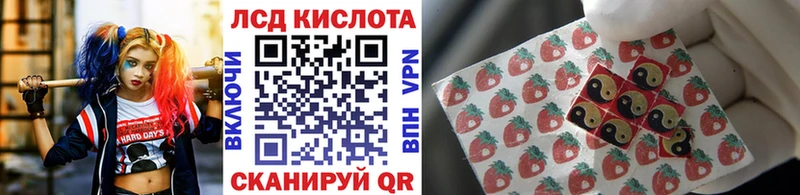 закладки  Алексеевка  Марки NBOMe 1500мкг 